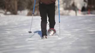 HowtoSnowshoe Learn the basics from the experts  LLBean [upl. by Neeoma]