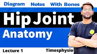 Hip Joint Anatomy  Lecture 1 I Physiotherapy  MBBS  BPT  MPT I By DR Vibhore Bakliwal Sir [upl. by Jerrine314]