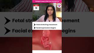 18वें सप्ताह में बच्चे के अंदर होते हैं महत्वपूर्ण बदलाव  Baby Changes in 18th Week of Pregnancy [upl. by Shepard765]