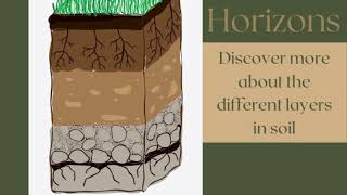 What is a soil profile ICSE Geography important question explained [upl. by Mccormac]