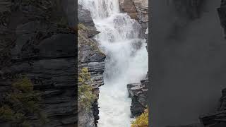 Solo Travel to Athabasca Falls  jasper travel [upl. by Sibell49]