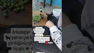 Kırma zeytin yapmayan kalmasın detaylar videolar kısmında yeşilzeytin hamzeytin zeytin tarif [upl. by Ingmar65]