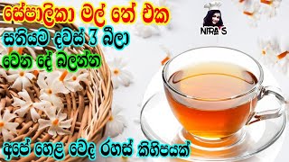 ලෙඩ ගොඩකට සුවය ගෙනෙන අපේම තේ එකක්  sepalika mal tea  සේපාලිකා මල් වල ගුණ  parijat tea healthy tea [upl. by Novak716]