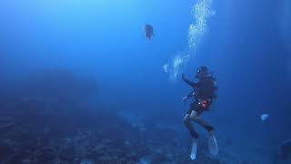 2024 Thailand Dive Trip [upl. by Osnofla]