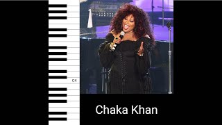 Chaka Khan  Angel Live in London 2007 Vocal Showcase [upl. by Uokes974]