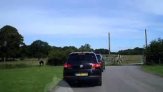 knowsley safari park drive through [upl. by Ardnaz]