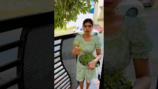 Ye diwar par chunwa kar hi manegi🤣🤣 shortvideo comedy patipatninokjhonk funny love [upl. by Haman]