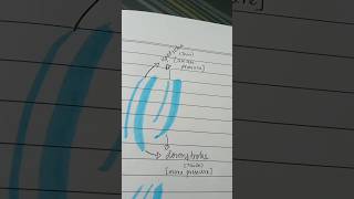 Ep 3 Upstroke vs Downstroke How to calligraph affordable calligraphy using highlighter [upl. by Rosel]