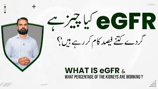 eGFR Kaya Hota Hai  What is eGFR  eGFR Test for Kidney Function in Urdu [upl. by Grega]