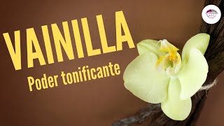 VAINILLA PODER TONIFICANTE [upl. by Niletac]