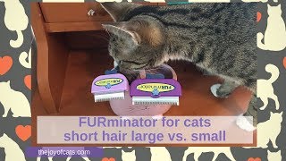 FURminator for cats short hair large vs small  Cat Chat with Heidi [upl. by Jelsma314]