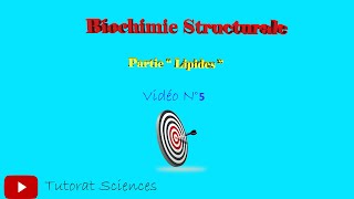 Vidéo N° 5 Biochimie Structurale partie quotLipidesquot [upl. by Atnahsa442]