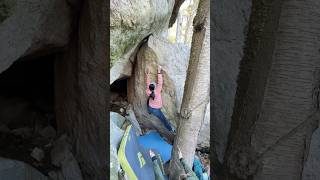 Living Tree V6  Gunks Nan bouldering rockclimbing gunksbouldering [upl. by Wharton]