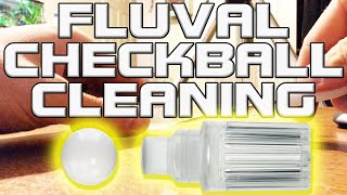 Opening the Fluval Checkball For Cleaning and Maintenance [upl. by Salzhauer199]