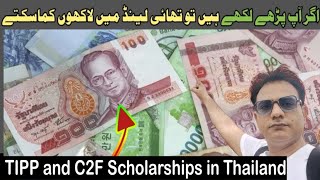 Top Study Scholarships for Foreigners in Thailand  TIPP Scholarship and C2F Scholarships [upl. by Mlehliw]