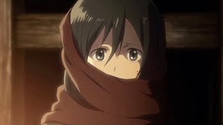 Free twixtor Mikasa Ackerman Childhood [upl. by Annocahs]