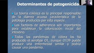 Vibrios Yersinia y Campylobacter [upl. by Sandor]