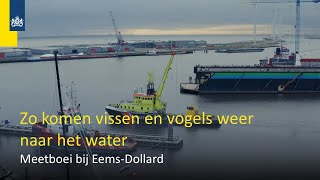 Met deze unieke meetboei schonen we troebel water op [upl. by Adnilahs]