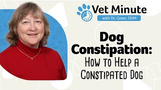 Vet Minute How to Help a Constipated Dog [upl. by Eilata389]