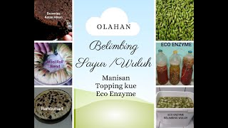 Mengolah Belimbing Sayur Belimbing Wuluh Menjadi Manisan Kering topping kue dan Eco enzyme [upl. by Alesiram]