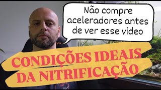 CONDIÇÕES IDEAIS DA NITRIFICAÇÃO  A ALMA DO SEU AQUÁRIO [upl. by Eidnew514]