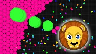 SO CLOSE  Agario LAST MAN STANDING EPIC  Agario Gameplay [upl. by Ellenid640]