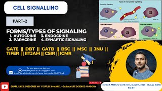 Different Forms of Signaling Part2 1 Autocrine  2 Paracrine  3 Contact Dependent 4 Synaptic [upl. by Ludie]