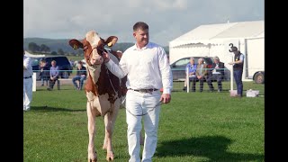 Holstein Heifer inmilkDumfries Show 2024Logan Latenite Shania VG89 [upl. by Ecnarrat]