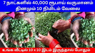 7 நாட்களில் 40000 ரூபாய் வருமானம் தினமும் 10 நிமிடம் வேலை ​ Small Business Ideas  Tamil [upl. by Maighdlin327]