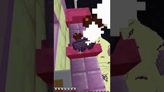 How I Got The Elytra In Minecraft [upl. by Nyladnor]