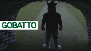 Conheça o novo mascote do Palmeiras [upl. by Orthman826]