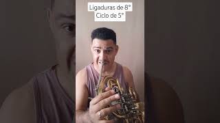 Trompa  ligaduras de 8° e Ciclos de 5°frenchhorn trompa shorts [upl. by Gomar]