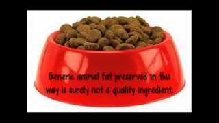 Pedigree Dog Food A Closer Look [upl. by Towill]