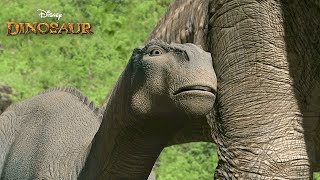 Finding the Nesting Grounds  Dinosaur HD Movie Clip [upl. by Maryann525]