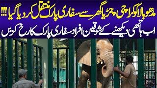 Karachi Zoos Elephant Finds New Home  Madhubala Shifted to Safari Park  Animal Lover [upl. by Schrader]