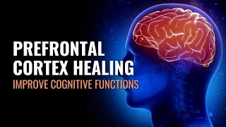 Prefrontal Cortex  Improve Cognitive Functions  Cognition Enhancer Isochronic Tones  432 Hz [upl. by Htiekal]