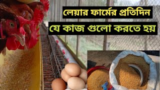 Daily tasks to be done in Layer farmমুরগির খামারে প্রতিদিন যে কাজ গুলো করতে হয়। [upl. by Radie470]