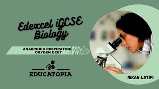 Anaerobic respiration  Oxygen debt  iGCSE Biology 91  Educatopia [upl. by Bard769]