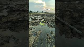 khet me Pani chalu ❤️💧🌱 shortsfeed automobile viralvideo farming trending farmer top funny [upl. by Nnil]