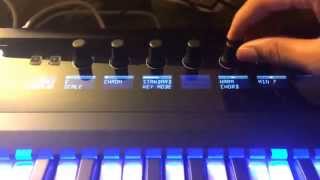 Komplete Kontrol S49 hands on review [upl. by Damalis]