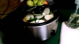 Crock Pot Cream of Broccoli Soup [upl. by Finella276]