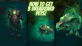 AQ3D How To Get 3 Dreadzard Pets VERY Rare AdventureQuest 3D [upl. by Rubin103]