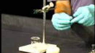 Organic Chemistry Lab Demo Isolation of Limonene part 2 [upl. by Emixam160]