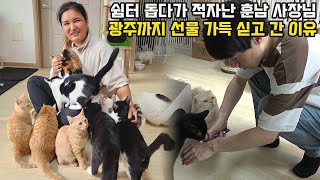 보호소 고양이 강아지 때문에 미용실 건물 팔고 2억 넘게 쓴 150마리 엄마의 순정 [upl. by Ykcor]