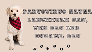 Parvo natna lanchhuah dan leh enkawl dan [upl. by Ibbed]