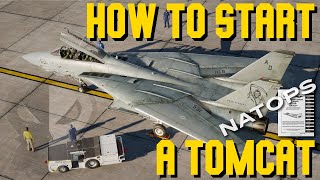 DCS F14 Tomcat Pilot Startup Tutorial  Real life procedures explained [upl. by Anadal501]