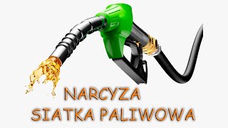 PL  Narcyz i jego siatka paliwowa Narcyzm [upl. by Bogoch]