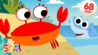 The Crabs Go Crawling  More  Fun Summer Songs  Super Simple Songs [upl. by Edouard]