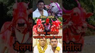 जयेश पाटील महाराष्ट्रातील प्रसिद्ध गाडामालक viral maharashtra bailgadasharyat [upl. by Morita]