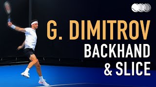 Grigor Dimitrov  Court Level Practice Backhand amp Backhand Slice Slow Motion 2021 240fps [upl. by Mohun979]